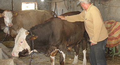 Emekli olan elektrik mühendisi huzuru köyde buldu