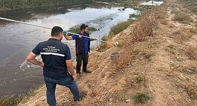 Ergene'de arıtılmadan çaya atık su deşarjı tespit edildi