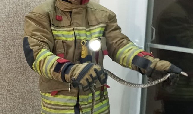 Erzin ve İskenderun'da eve giren yılanları itfaiye yakaladı