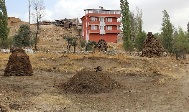 Erzincan'da kışlık tezek hazırlığı