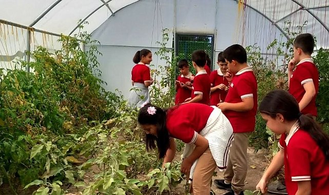 Erzincan'da öğrenciler serada kış sebzelerinin ekimine başladı