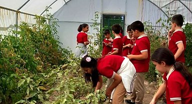 Erzincan'da öğrenciler serada kış sebzelerinin ekimine başladı