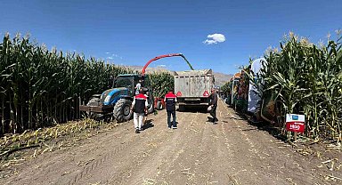 Erzincan'da silajlık mısırın hasadı sürüyor