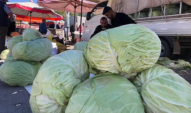 Erzincan'da turşuluk ve yemeklik lahanalar tezgahta yerini aldı