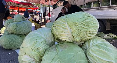 Erzincan'da turşuluk ve yemeklik lahanalar tezgahta yerini aldı