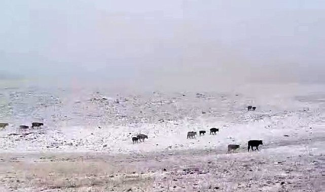 Erzurum'a mevsimin ilk karı yağdı