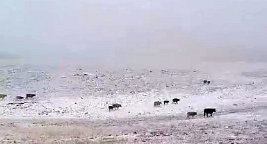 Erzurum'a mevsimin ilk karı yağdı