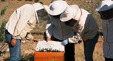 Erzurum'da bal üretimi sektöre değer katıyor