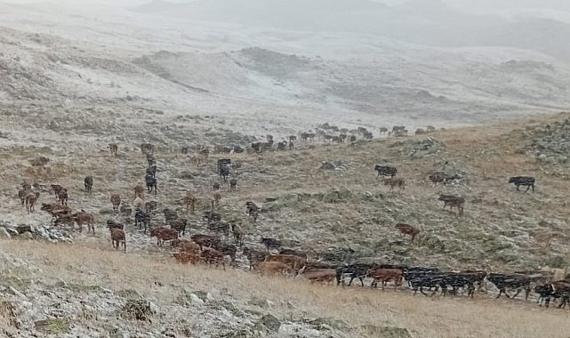 Erzurum'da yüksek kesimlere kar yağdı
