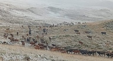 Erzurum'da yüksek kesimlere kar yağdı