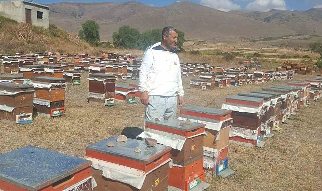 Erzurum'un Çat ilçesinde arıcıların ayı nöbeti