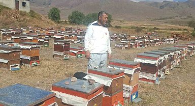 Erzurum'un Çat ilçesinde arıcıların ayı nöbeti