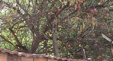 Eskişehir'de şaşırtan uyarı