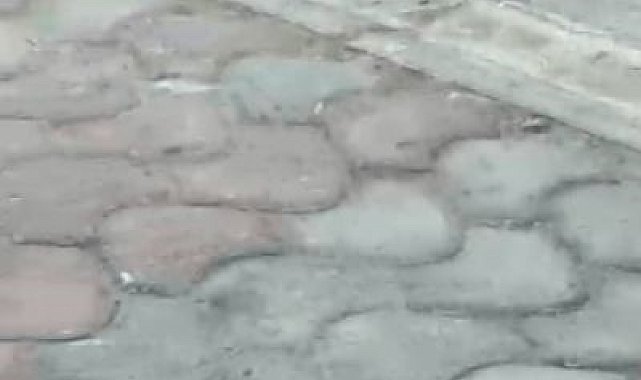 Esnaf, kedi ile farenin kapışmasını maç anlatır gibi anlattı