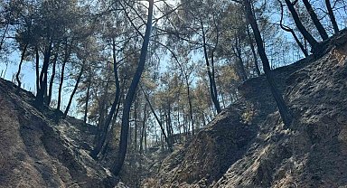 Evini yangından korumak için mücadele ederken kalp krizi geçirdi