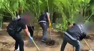 Evlerinin bahçesini uyuşturucu bahçesine çevirmişler