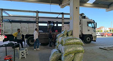 Fasulye pazarında yüzler güldü