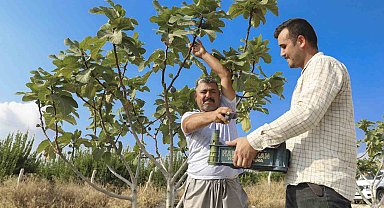 Fidanlar toprakla buluştu, meyveler kasaları doldurdu