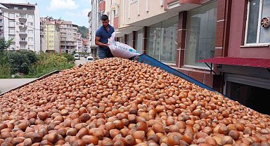 Fındık ihracatında çıta yükseliyor