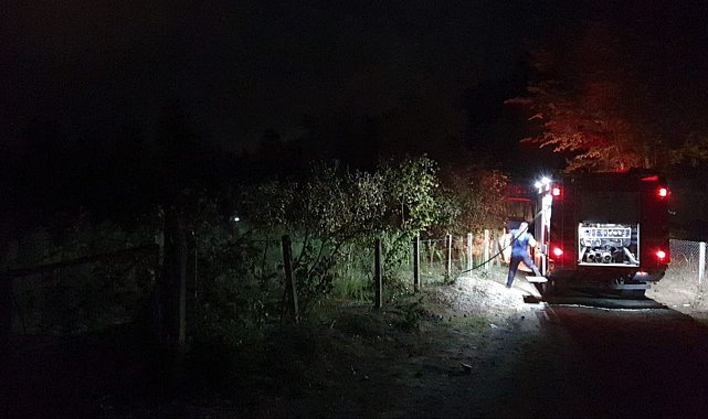 Fındıklıkta yakılan ateş yangına sebep oldu