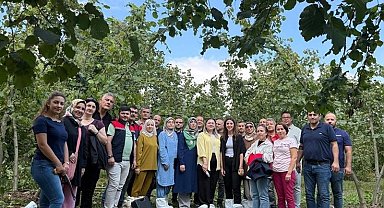 Fındıkta verim ve kalite arttırılacak