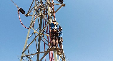Fırat EDAŞ, kesintisiz enerji arzını ve leylekleri güvence altına alıyor