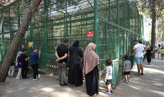 Gaziantep Doğal Yaşam Parkı'nda 8 ayda bir yılın rekoru kırıldı