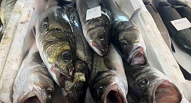 Gece avlanan balıklar, sabah mezatta alıcıyla buluşuyor