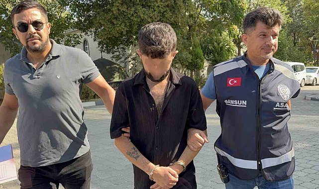 Geceleyin kamyonun kornasını çalan şahıs tutuklandı