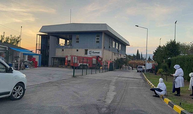 Gemlik Serbest Bölge'de çıkan yangın paniğe neden oldu