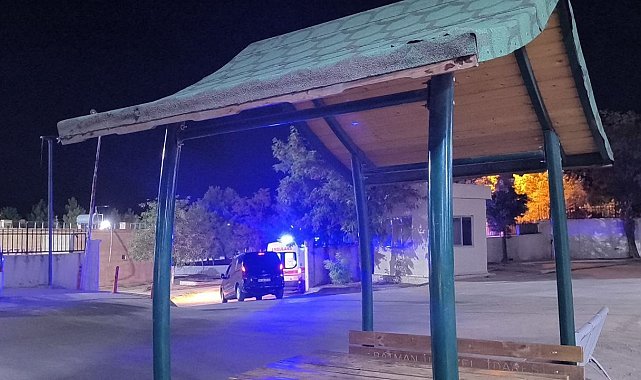Gercüş'te ağaçtan düşen adam ağır yaralandı