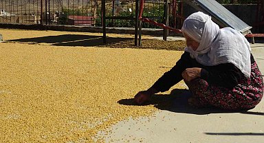 Gercüş'te yüzyıllardır devam eden bulgur kaynatma geleneği devam ediyor