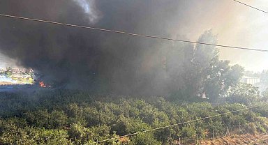 Geri dönüşüm fabrikasındaki yangına havadan da müdahale başladı