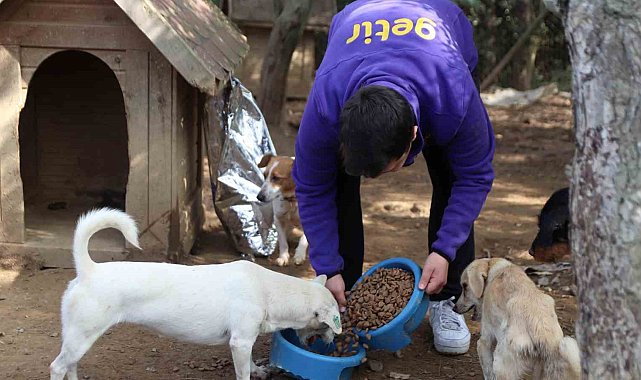 Getir'den bu yıl da 1 milyon kap mama desteği
