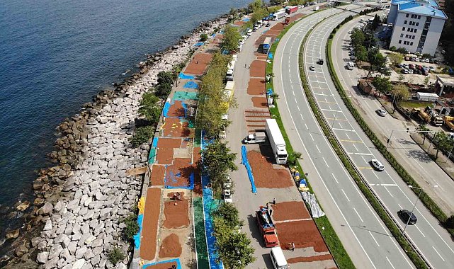 Giresun'da fındık hasadının ardından üreticilerin kurutma mesaisi sürüyor