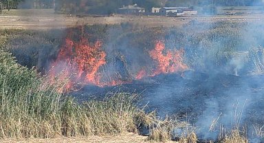 Göçmen kuşların yuvası alevlere teslim oldu
