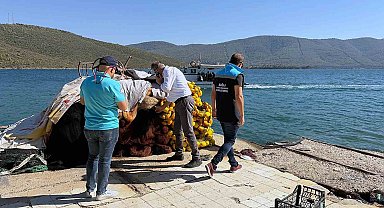 Güllük Körfezi'nde kaçak avcılık denetimi
