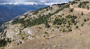 Gümüşhane'de genç muhtarın Türkiye'ye ilham veren başarı hikayesi