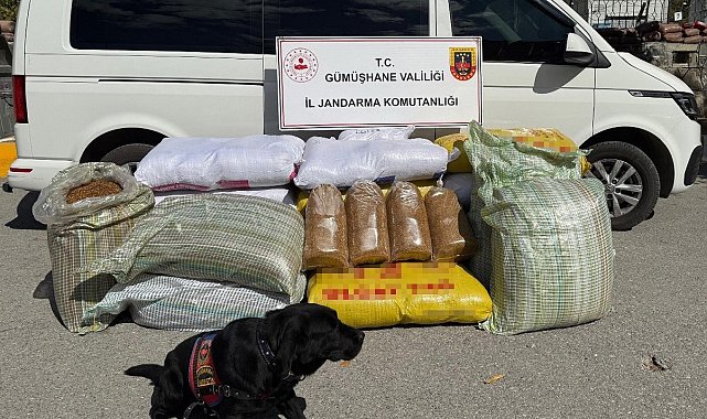 Gümüşhane'de kaçak tütün operasyonu: 530 kilo tütün ele geçirildi