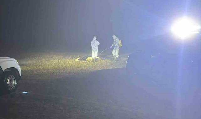 Gümüşhane'de şap hastalığı nedeniyle 5 köy karantinaya alındı