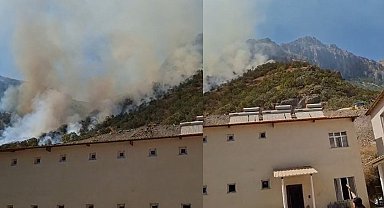 Hakkari-Çukurca kara yolundaki makilik alanda yangın çıktı