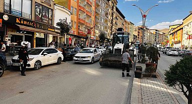 Hakkari'de 235 ağaç toprakla buluştu