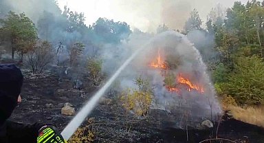 Hakkari'de 3 farklı bölgede çıkan yangın itfaiye ekiplerince söndürüldü