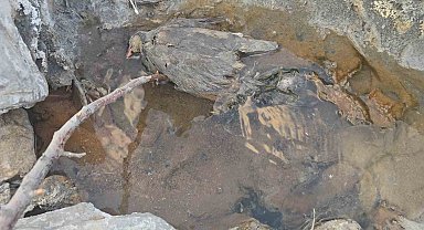 Hakkari'de gizemli kükürt vadisi: İnsanlara şifa, hayvanlara ölüm