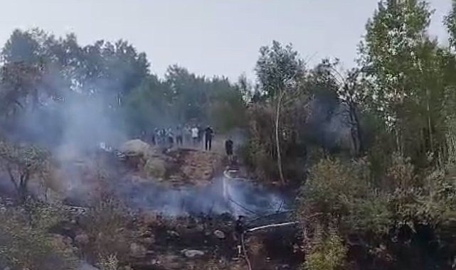 Hakkari'de ormanlık alanda yangın