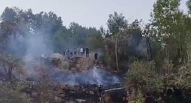 Hakkari'de ormanlık alanda yangın
