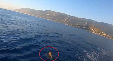 Hapis cezası ile aranıyordu, Yunan adasına yüzerek kaçmaya çalışırken yakalandı