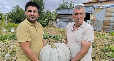 Hasadı başlayan balkabağı fiyatıyla yüzleri güldürdü