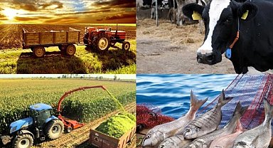 Hayvancılık destekleme miktarlarında artış! Çoban desteği ve aşı bedellleri de kapsamda