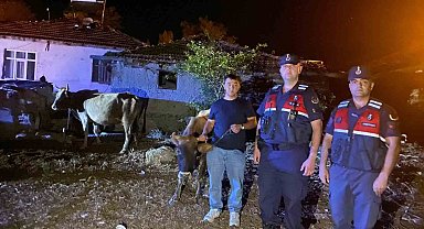 Hayvanları kaybolan çiftçinin imdadına Jandarma ekipleri yetişti